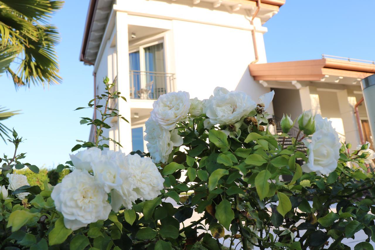 Agriturismo La Torretta Pescantina Extérieur photo